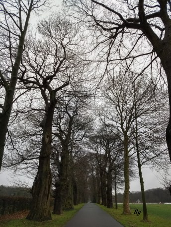 IMG_20180328_180234851_HDR