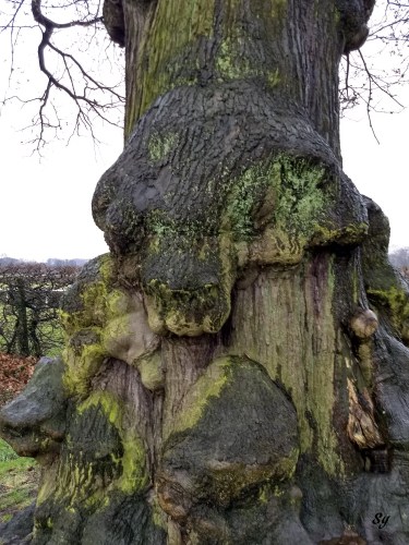 IMG_20180328_180338293_HDR