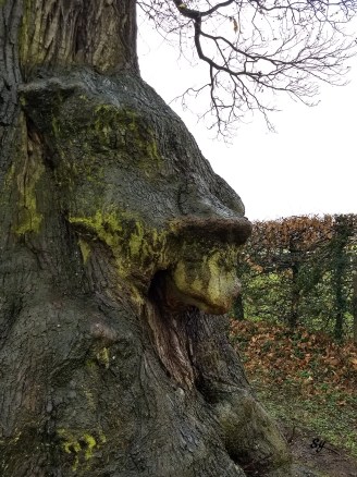 IMG_20180328_180404072_HDR