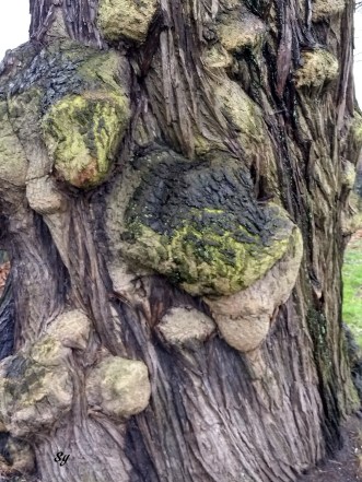 IMG_20180328_180534365_HDR