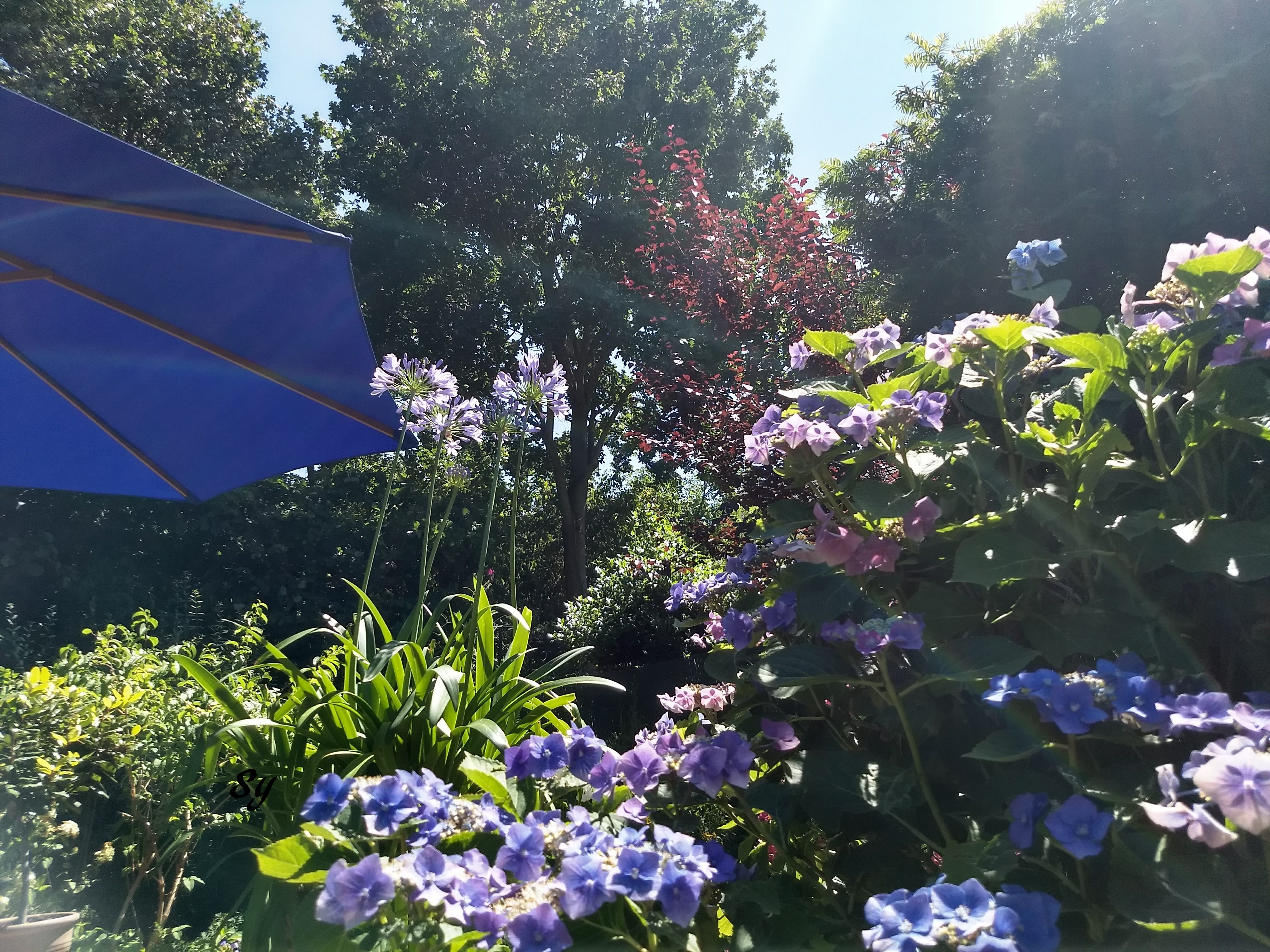 IMG_20180715_144452982_HDR