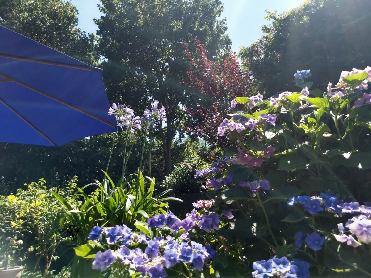 IMG_20180715_144452982_HDR