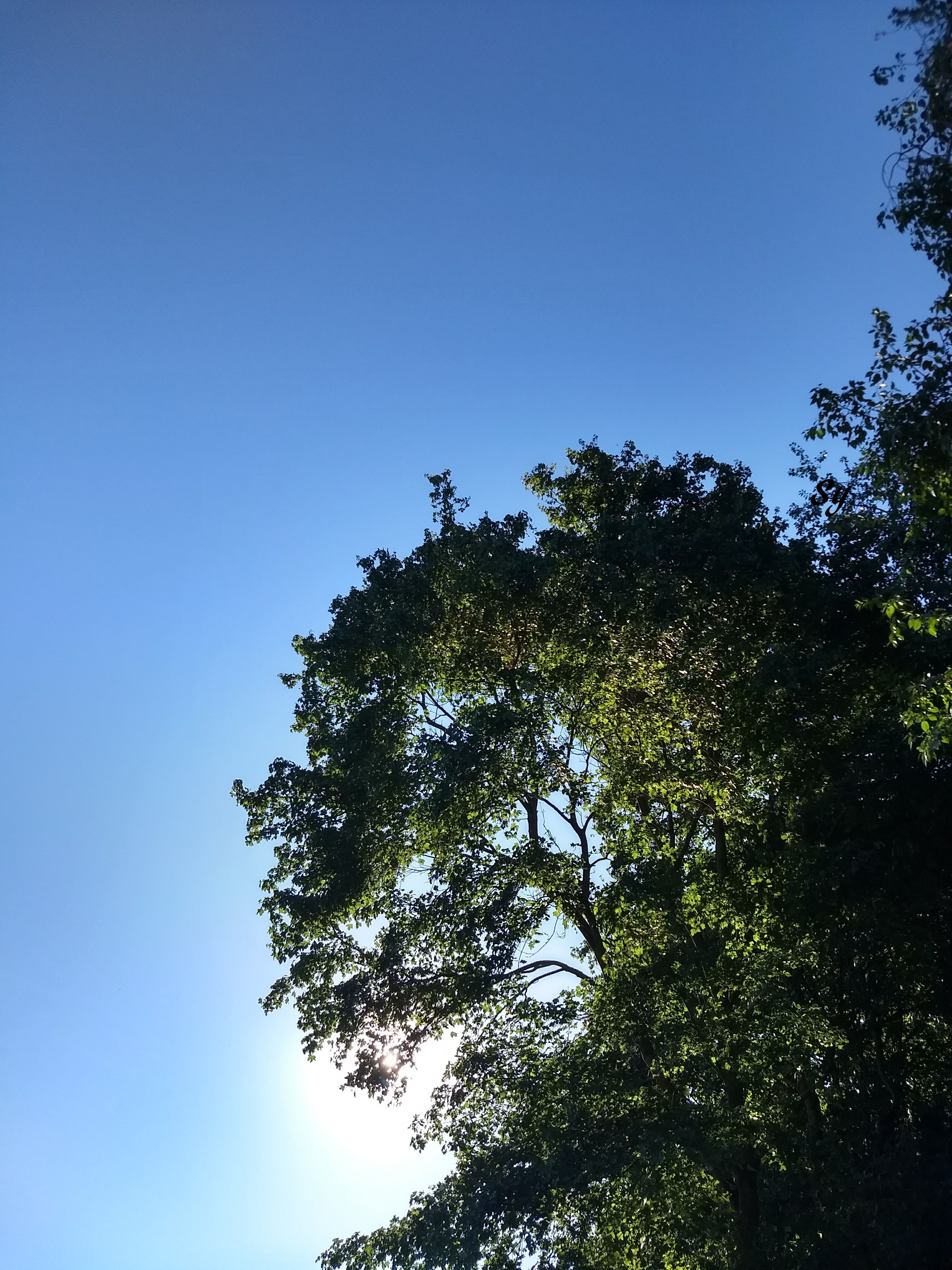 IMG_20180716_081418141_HDR