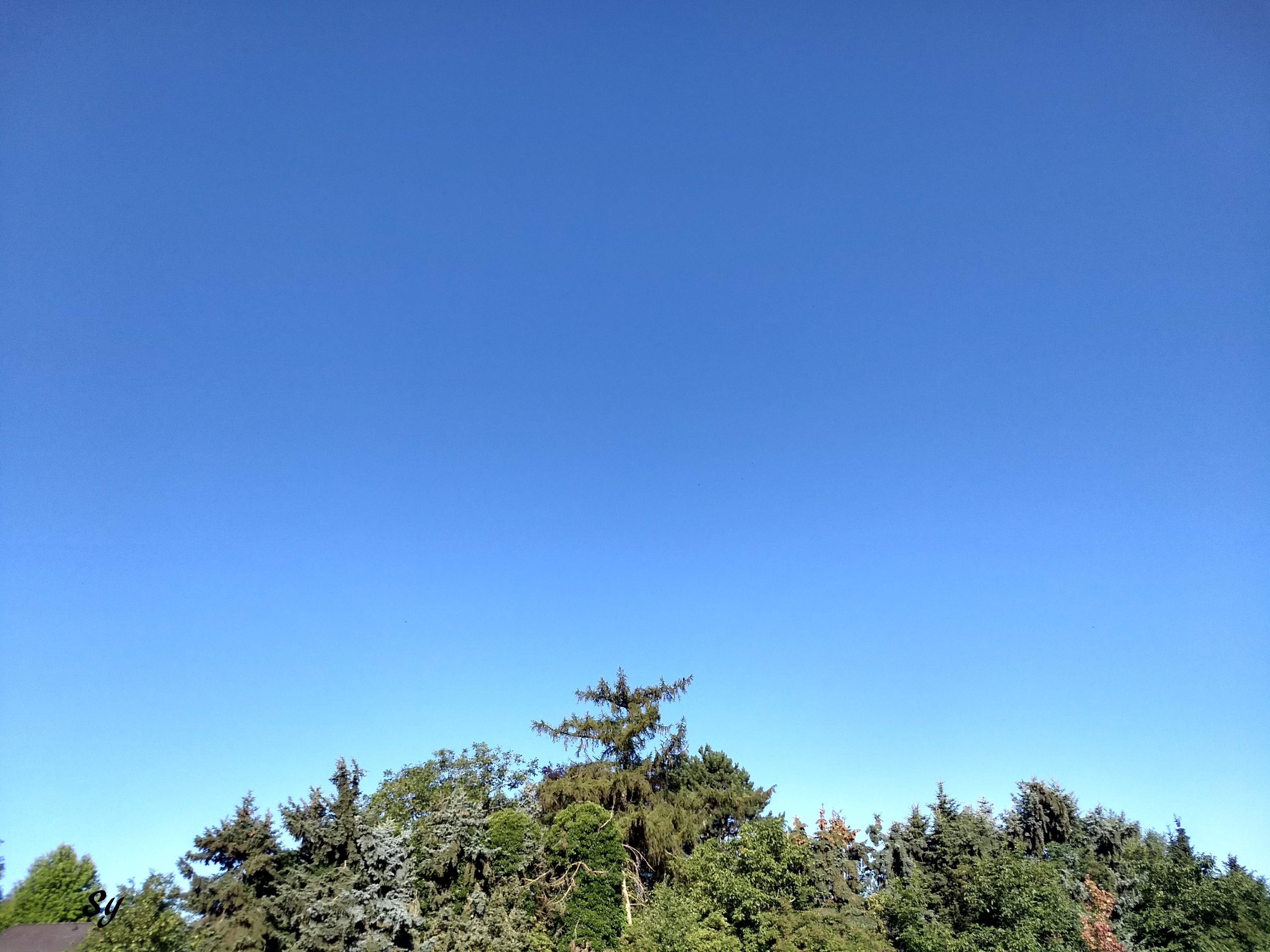 IMG_20180716_083311801_HDR