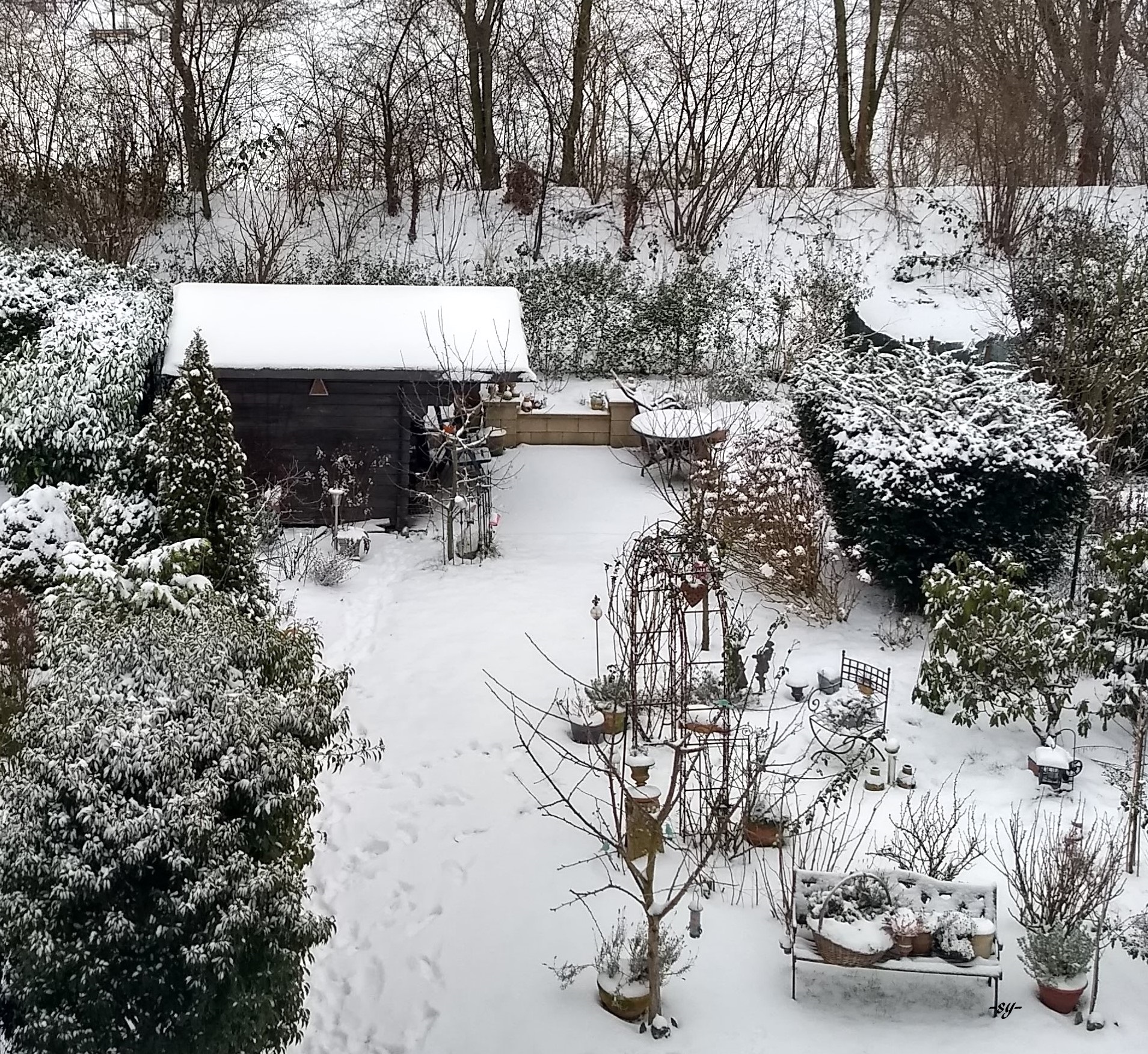 img_20190123_090138341_hdr (3)