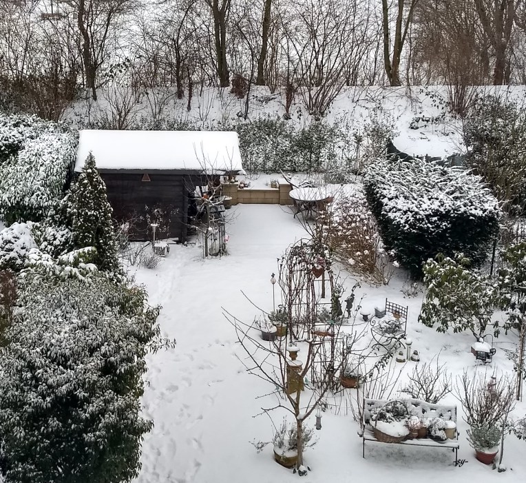 img_20190123_090138341_hdr (3)