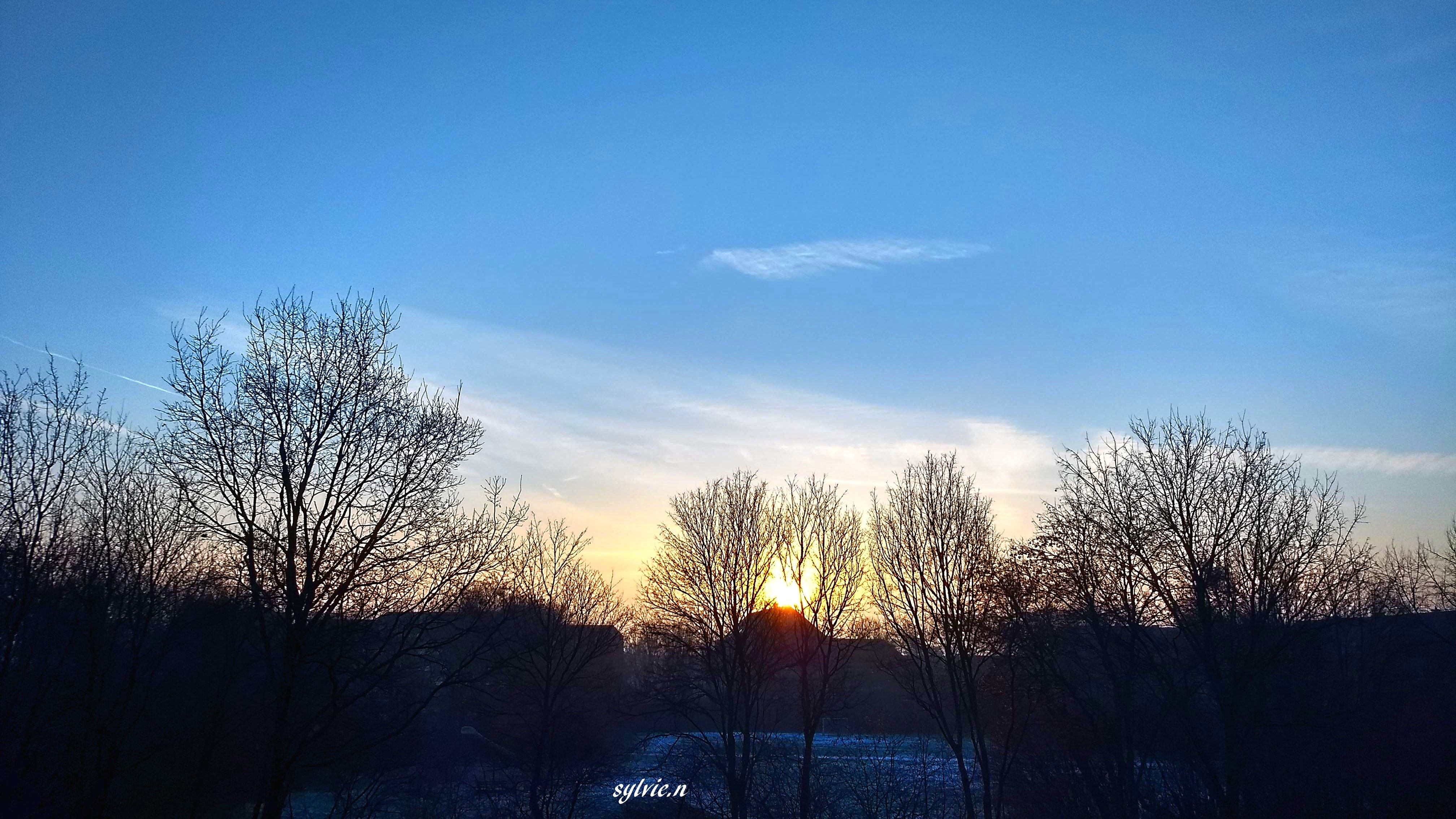 IMG_20190203_083610852_HDR