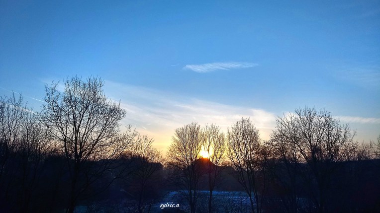 IMG_20190203_083610852_HDR