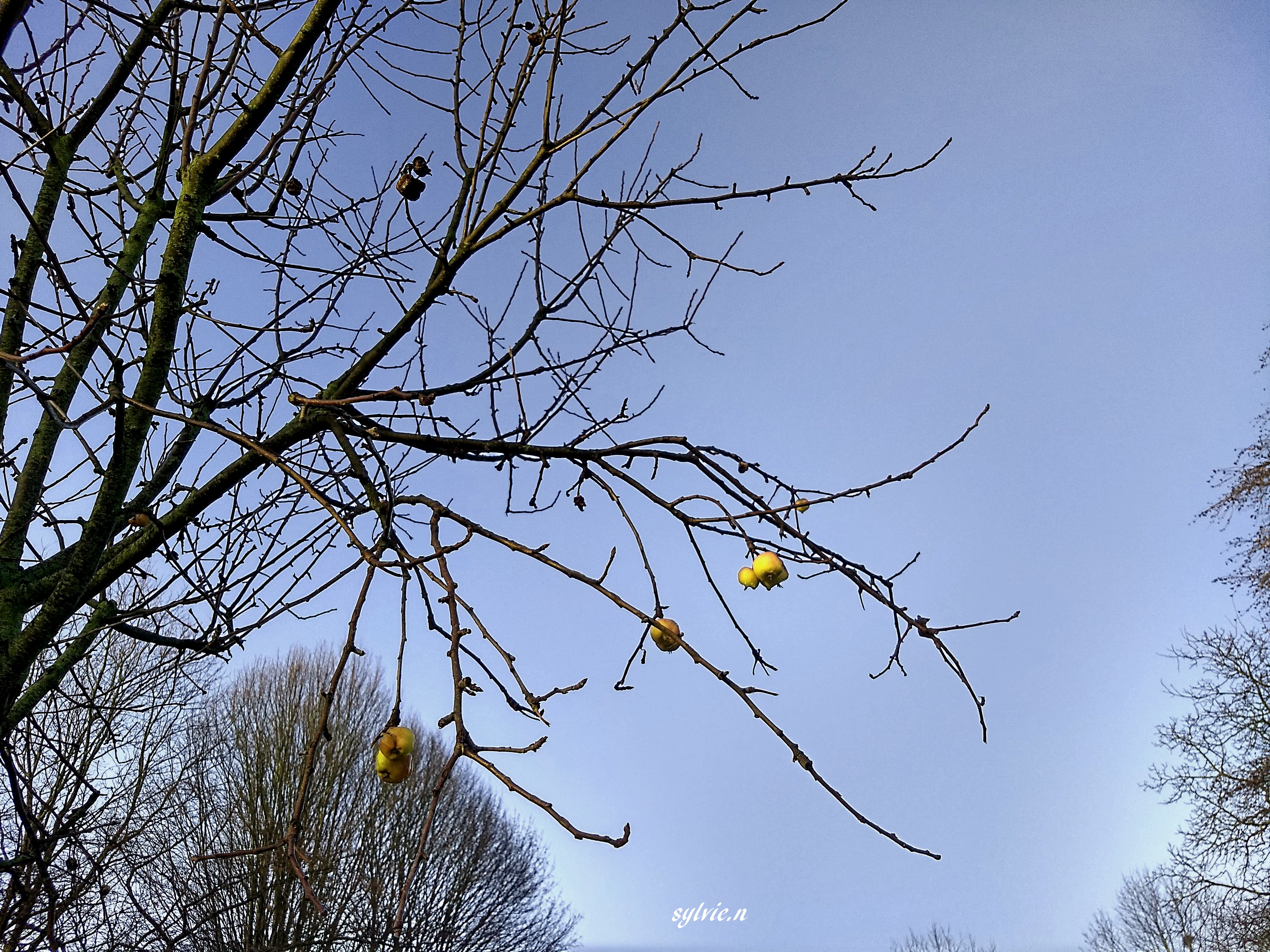 IMG_20190203_085422090_HDR