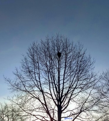 IMG_20190203_090103363_HDR (3)