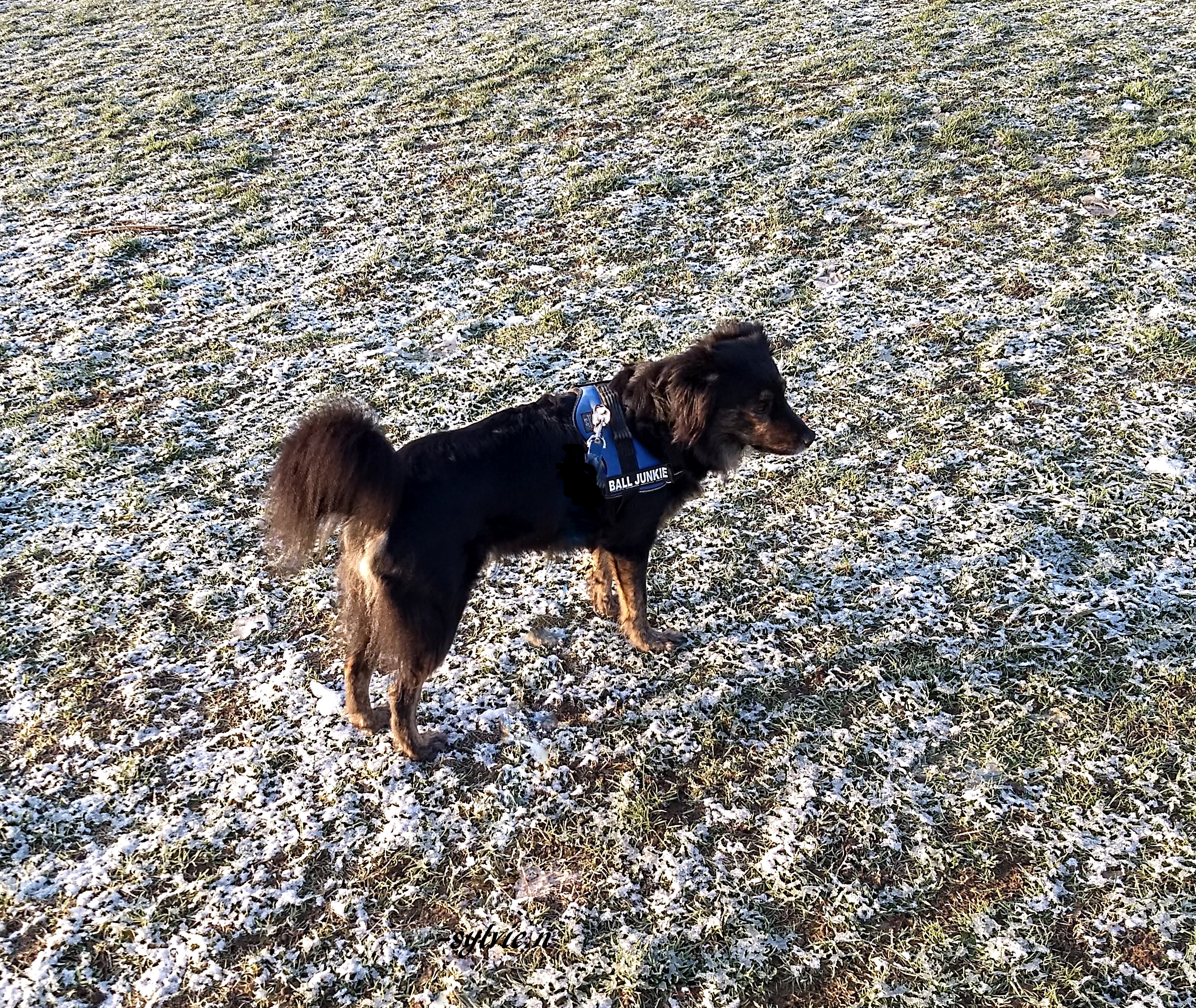 IMG_20190203_091406109_HDR (4)